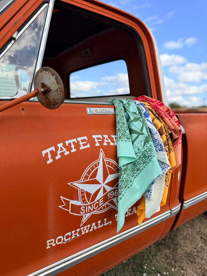 OLIVER PECK BANDANA